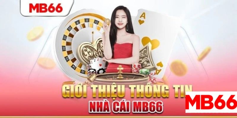 Nhà cái uy tín luôn bảo vệ quyền lợi người chơi